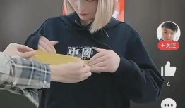 李宁主播爆料视频大全,揭秘幕后故事与精彩瞬间