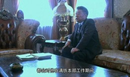 绝密生涯在线观看,揭秘特工背后的惊心动魄